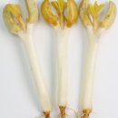 고창 이엠 이미지