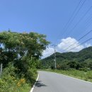 춘천(부산) 이미지