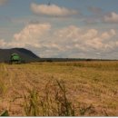 대풍농장 이미지