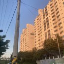 용팔이네과일가게 | 바쁘다 바빠💥🙃