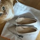 원터5길 12 | W10 웨딩촬영 후기, 웨딩촬영 준비물: [구 누아 스튜디오, 현 노우드하우스]