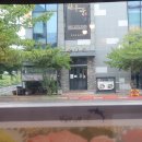 어제의 술안주...황새치 외 이미지