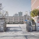 서울월천초등학교 네이버블로그