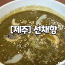 제주선채향 | [제주도] 전복죽, 전복칼국수 서귀포 맛집 &#34;제주 선채향&#34; 웨이팅X 후기