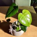 반송동163 이미지