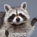 새로공간 - 강남구 봉은사로34길 7 | 새로공간