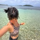 브이아이피짐 | 🇫🇯피지 탈출기 3편! 여자 혼자 여행 후기