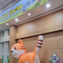 범과같이 이미지