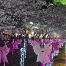 중앙시장 주차장_CCTV상단_#1 | 2026 진해군항제 실시간 벚꽃 현황🌸 개화율·인파·먹거리 총정리 (여좌천 중심 후기)