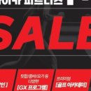 자마이카 휘트니스 이미지