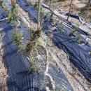 욱이농장 이미지