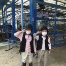 (주)신갈승마클럽 이미지