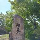 출발확정 [울산트레킹클럽] 4월6일(일요일) 진안 마이산 천리벚꽃길 탑사 관광트레킹 &amp; 암마이봉 산행 [28인승리무진] 이미지