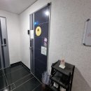 땡일리 애견 유치원 | 성북 장위동 애견유치원 '땡일리' 강아지유치원 처음 방문 후기