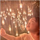 아림애견의 집 | 팀보타展 ‘하울림: 아림의 시간’ 22개월 아기랑 가기 / 36개월 아기 무료 전시 후기 애견 입장...