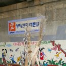 성진동물병원 이미지