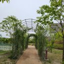 갑석농장 | 여주 가볼만한곳 먹거리체험 딸기체험 올더여주와 함께