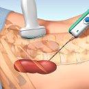 24시마음든든동물병원 이미지