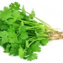 리틀사이공 이미지