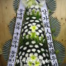 민창식 카카오 검색결과