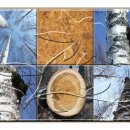 (주)고려인삼공사 이미지