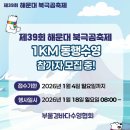동행 | 해운대 북극곰 축제 1km 동행수영 후기 🐻‍❄️