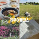 성산구 ⓒ-29 | 제주도 여행 코스 4박 5일 - 3일차 : 스누피가든과 종달리마을
