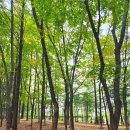 서초조은공인중개사사무소 이미지