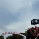 코스모스공원 | 구리한강시민공원 코스모스 후기 및 포토존 위치 정보
