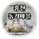 행복한농어촌체험마을 | 홍천 여행 놀거리 나유비누만들기와 당나귀타기 체험이 있는 홍천동키마을