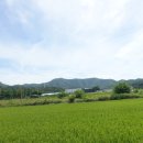안터산(92m)삼봉산(196m) 안산(168m) 상진봉(206m) 화학산(201m) 신사동산(98m) 뒷동산(136m)/경기용인 이미지
