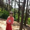 삼일어린이집 이미지