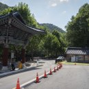 내원사 관광안내소 네이버블로그