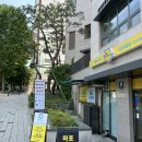 반올림피자마포