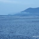 청국장과흙두부 이미지