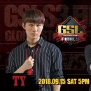 Ty Craft 스포츠경향