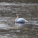 경안천 4 이미지