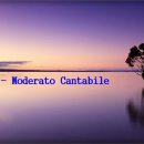 남택상 - Moderato Cantabile 이미지