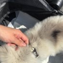 가든파크 이미지