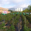 대학로3길-3 이미지