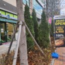 스타버거 범어점 이미지