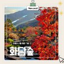 신천생태하천A | 아이와 다녀온 화담숲 후기, 모노레일 /스탬프투어 / 주차 팁