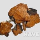 바이칼허브 이미지