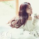 쎄씨헤어라인