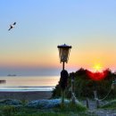 꿈이 있는 곳 이미지