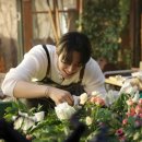 동화상사 이미지