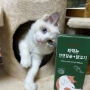 시나브로랩(SinabroLab)
