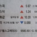 경기정화(자) - 1429 | 경기정화(자)