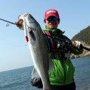 탑클래스 코리아 이미지