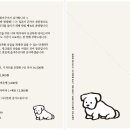 수수하지만굉장해전포